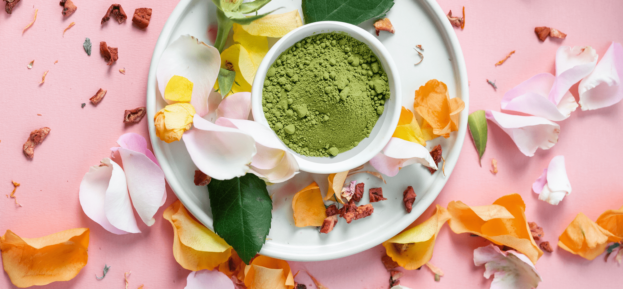Yeh Tea matcha plate surrounded by botanical petals.
